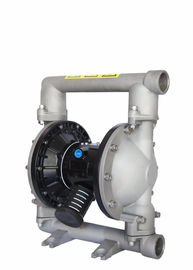 Foodstuff Stainless Steel Diaphragm Pump Reciprocating Diaphragm Pump